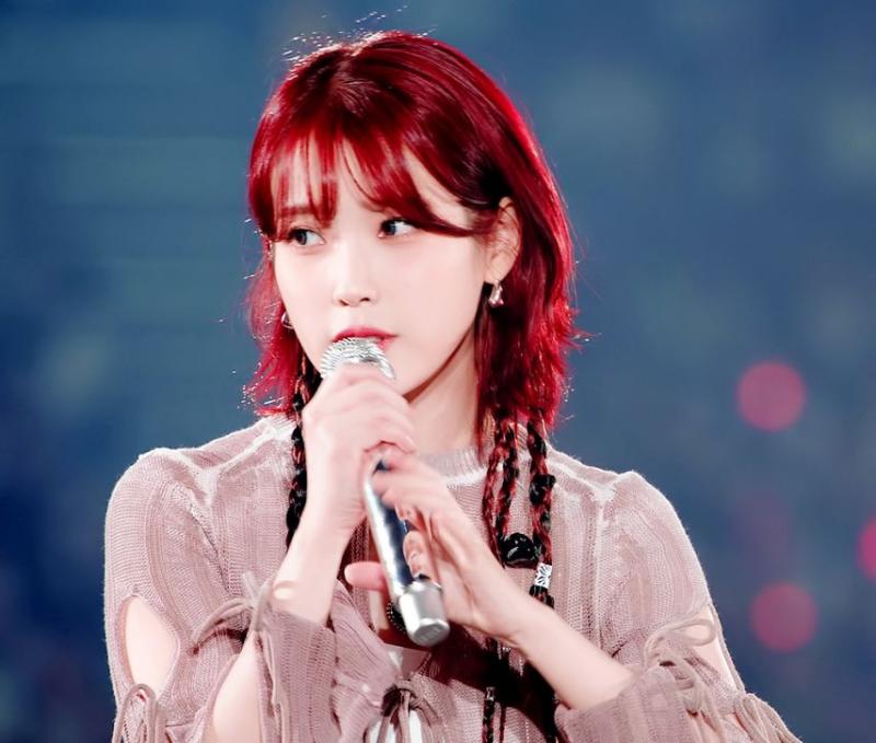 빨간 머리 알프스 소녀 콘서트 아이유 . JPGIF (약스압)