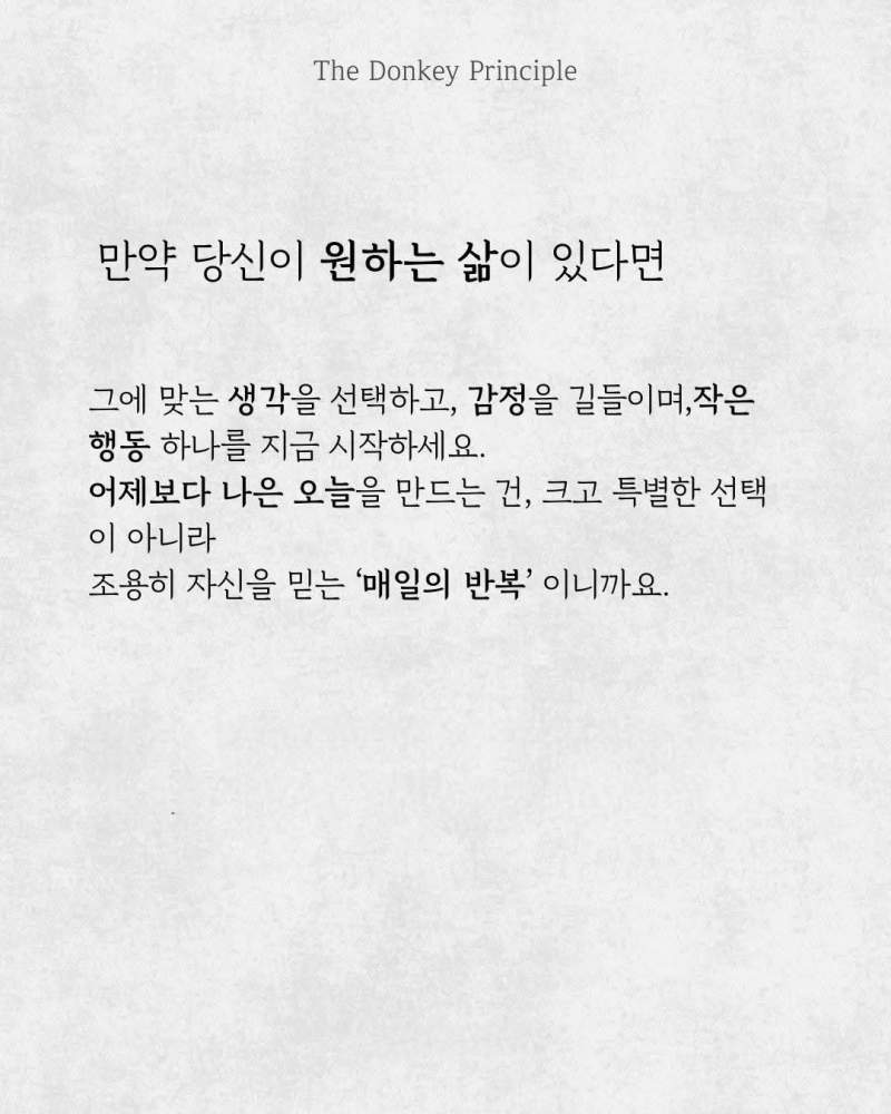 당나귀의 원칙
