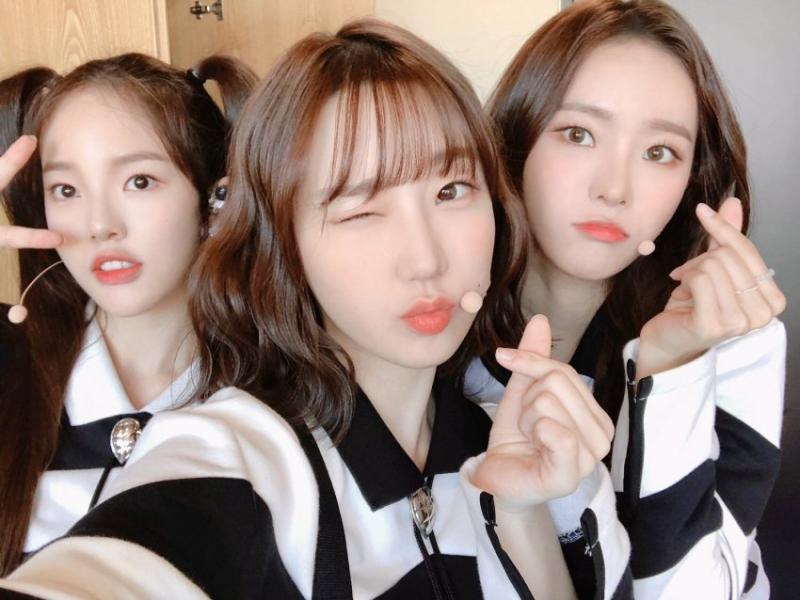 위클리