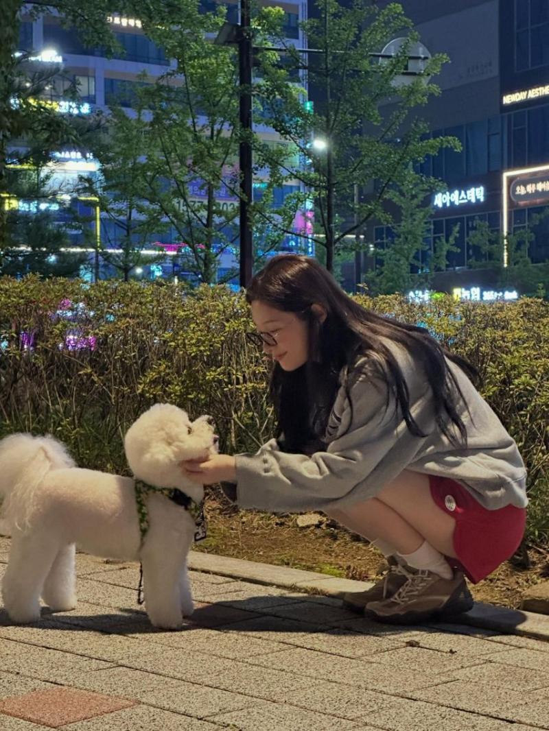 정채연