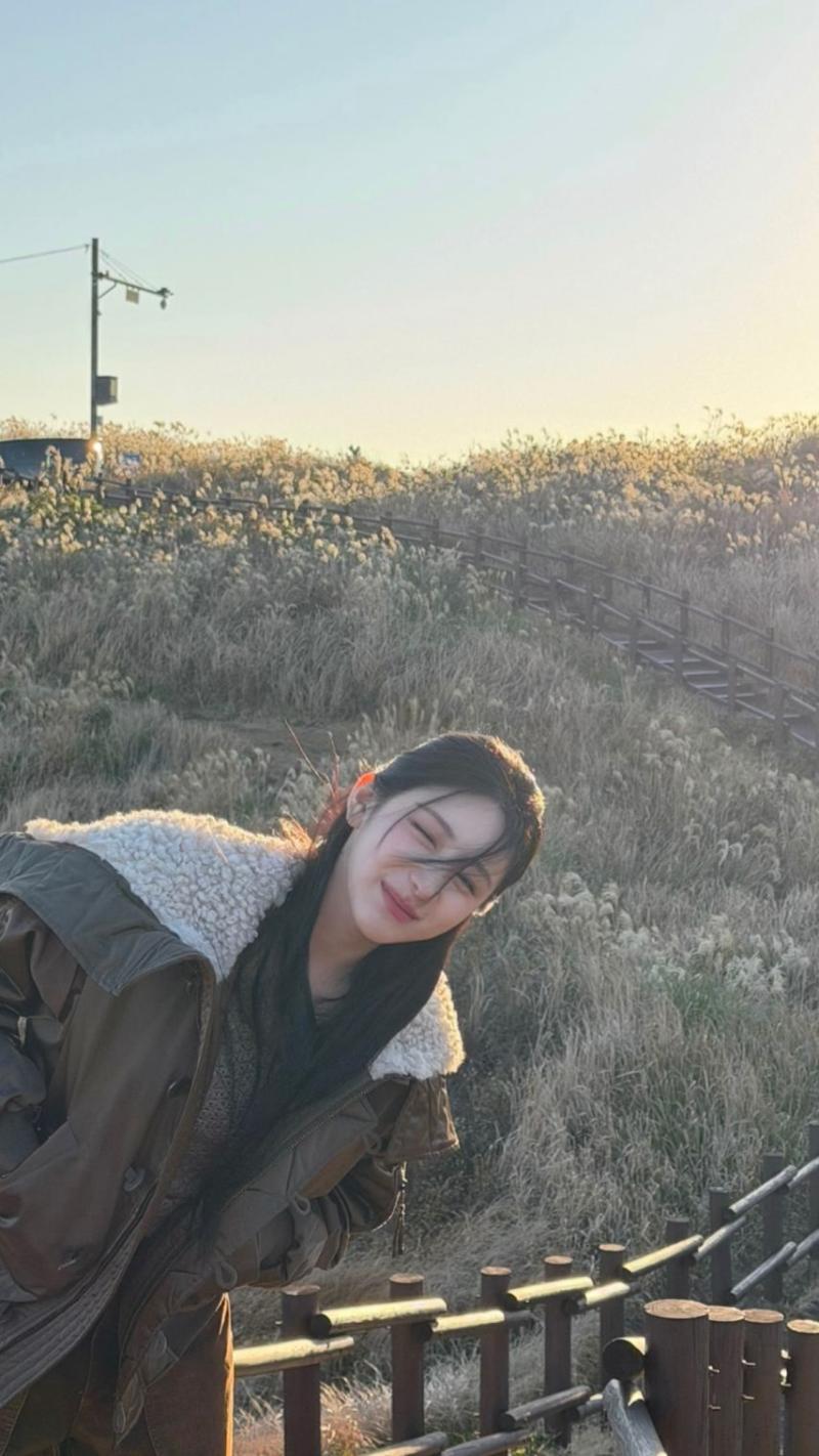 이채연