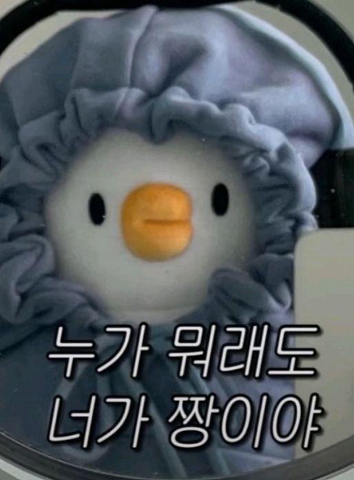 하츠투하츠 주은