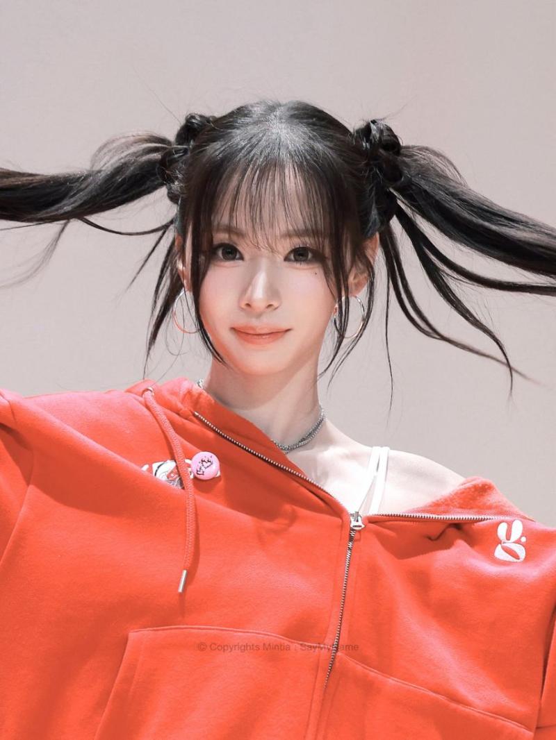 세이마이네임 슈이