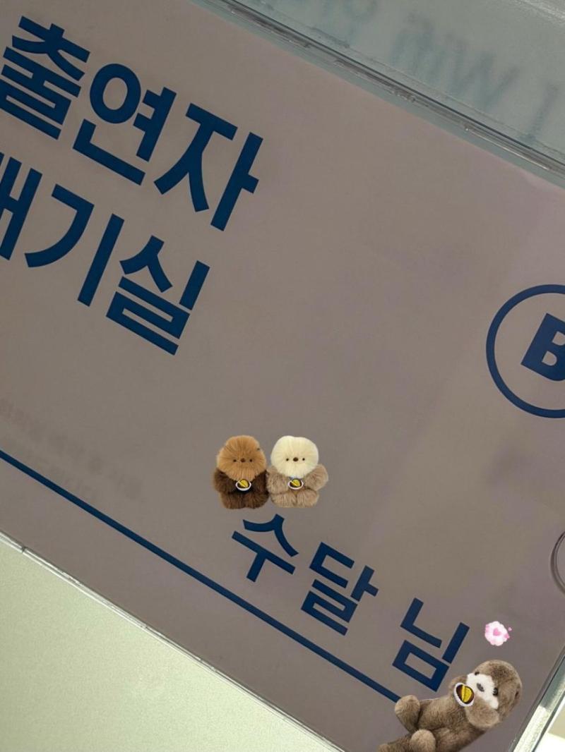 아이브 리즈