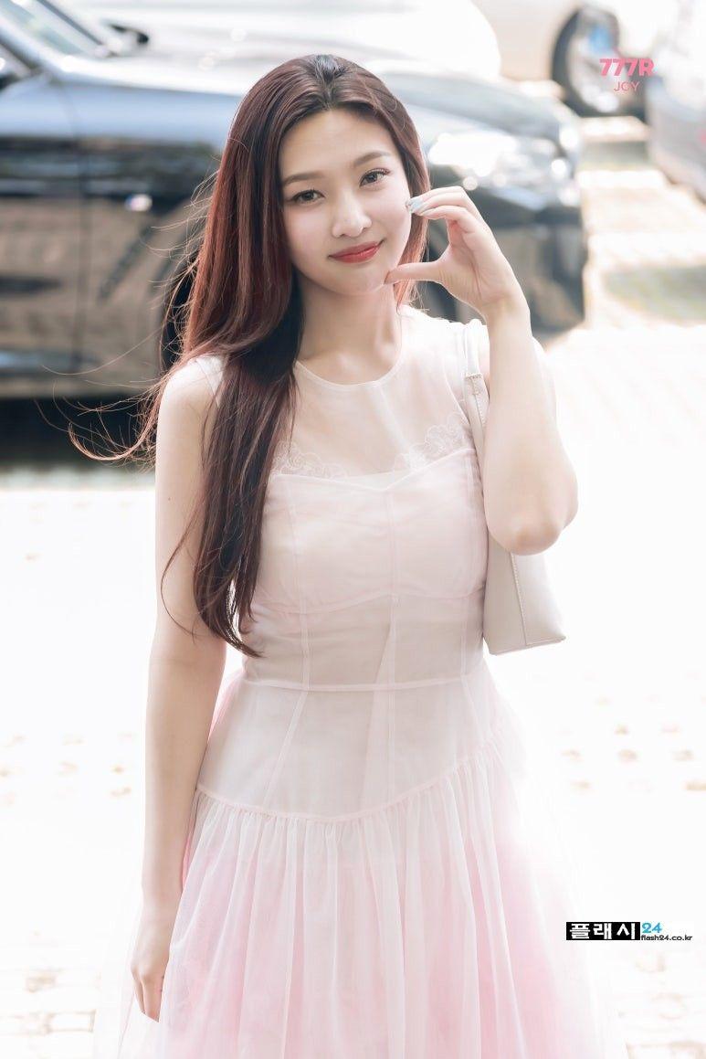 레드벨벳 조이