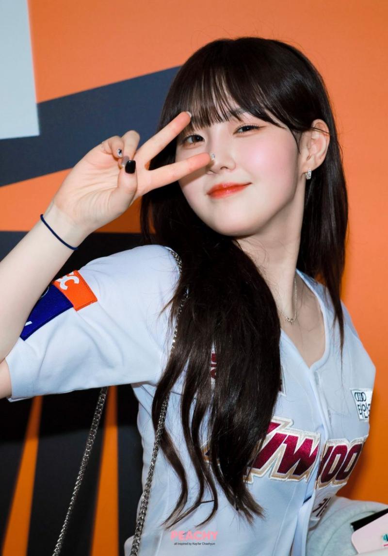케플러 김채현