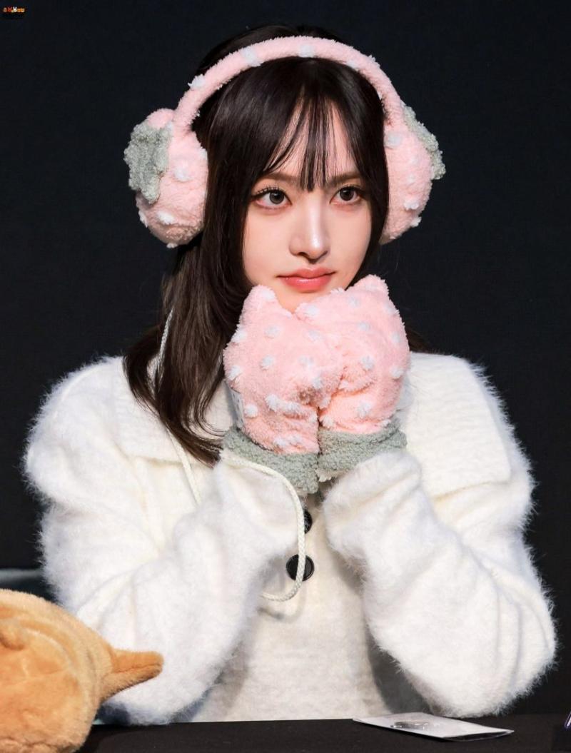 아이브 리즈