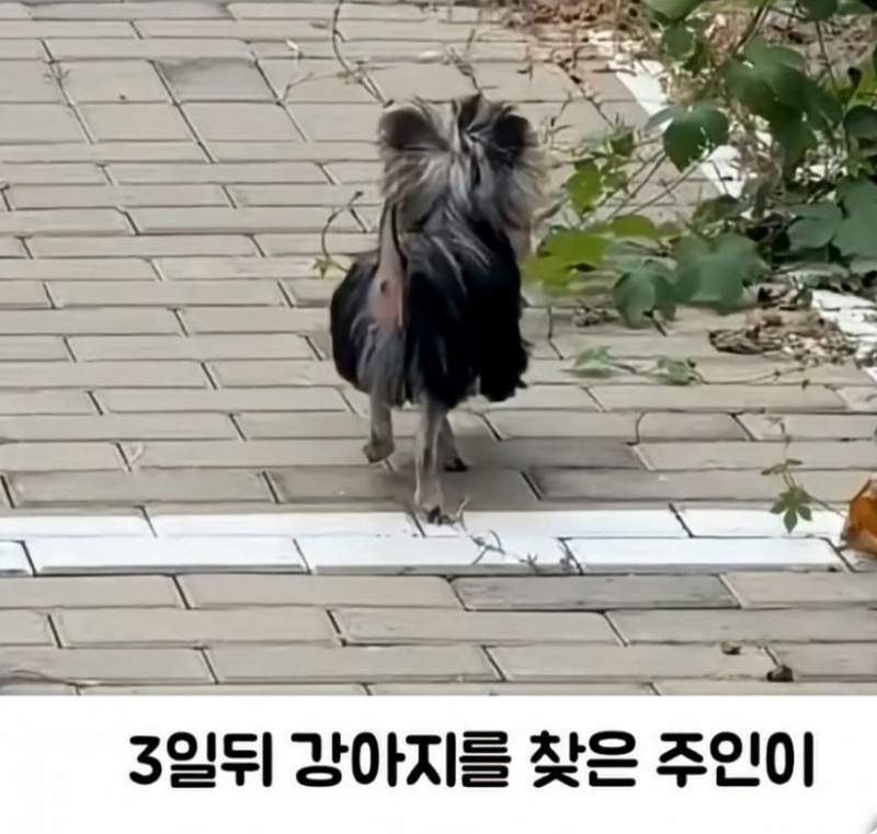 이보다 더 정밀한 그림은 없다..jpg