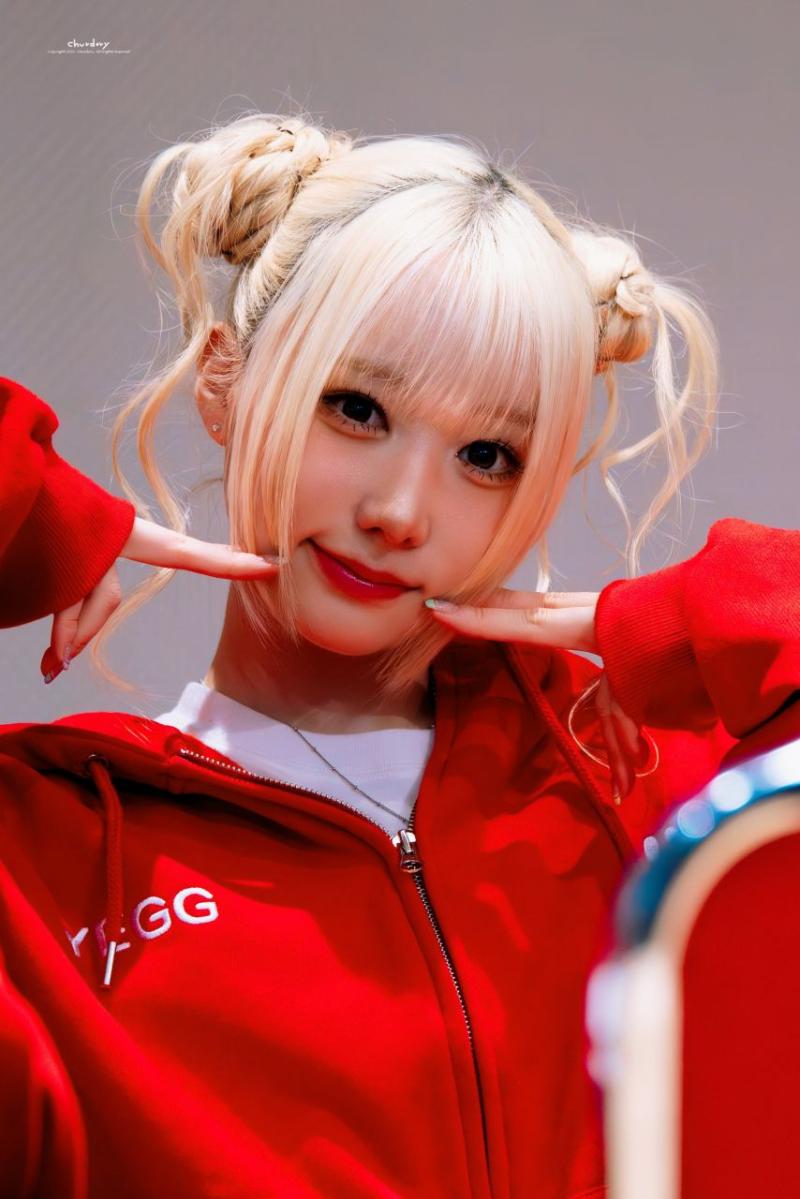 세이마이네임 메이
