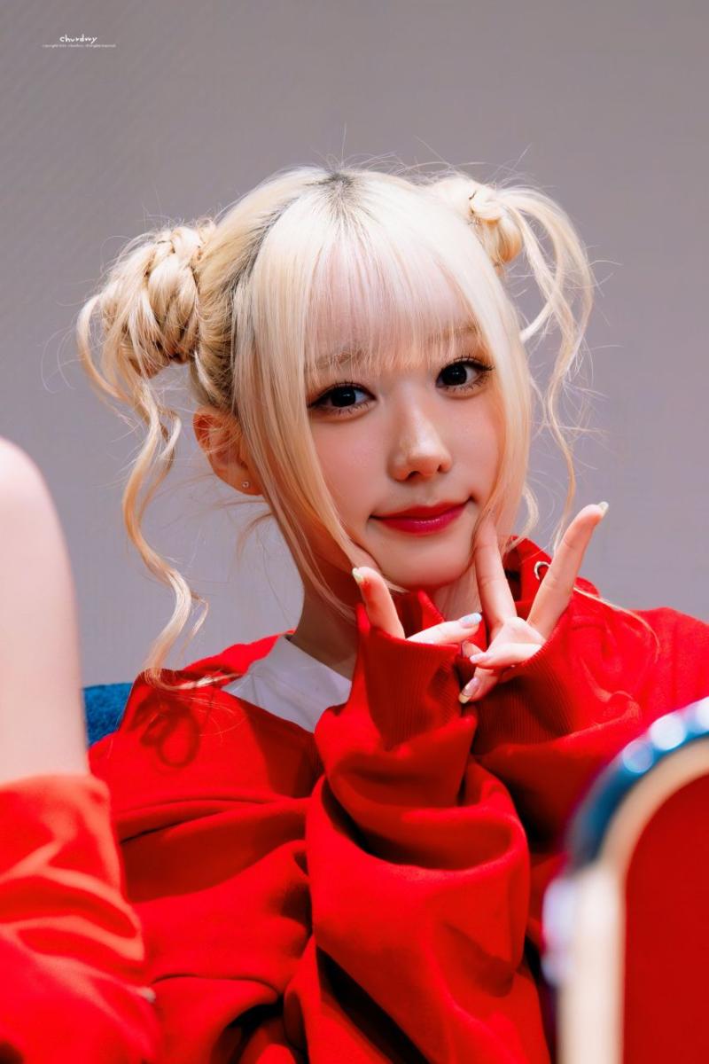 세이마이네임 메이