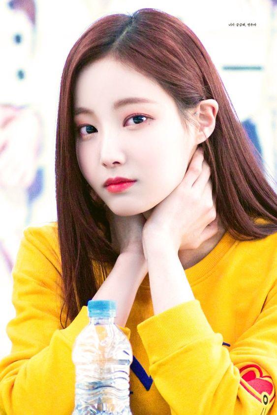 배우 연우