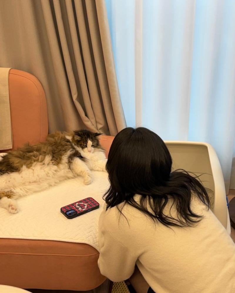 남지현