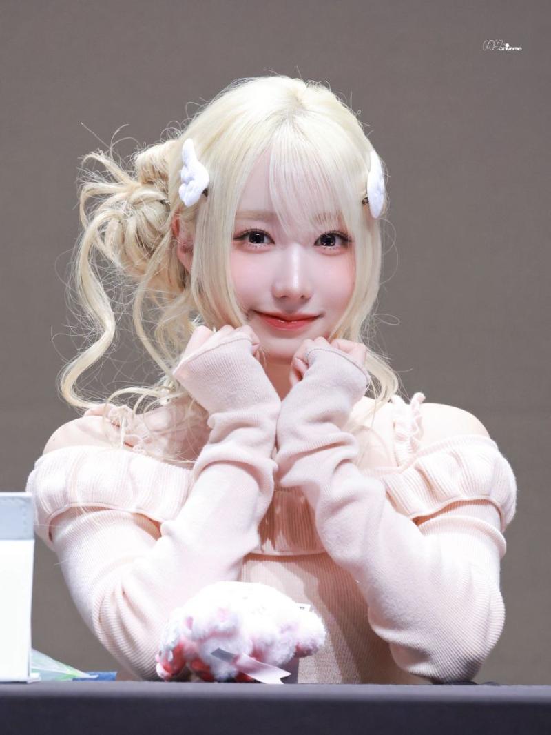 세이마이네임 메이