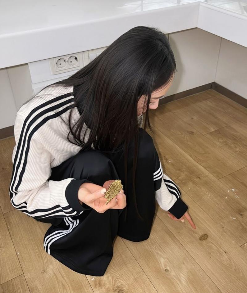 이다희 인별