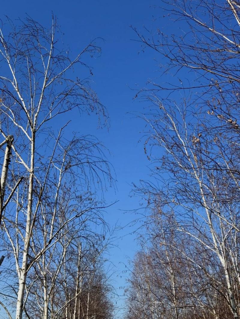 공승연 인별