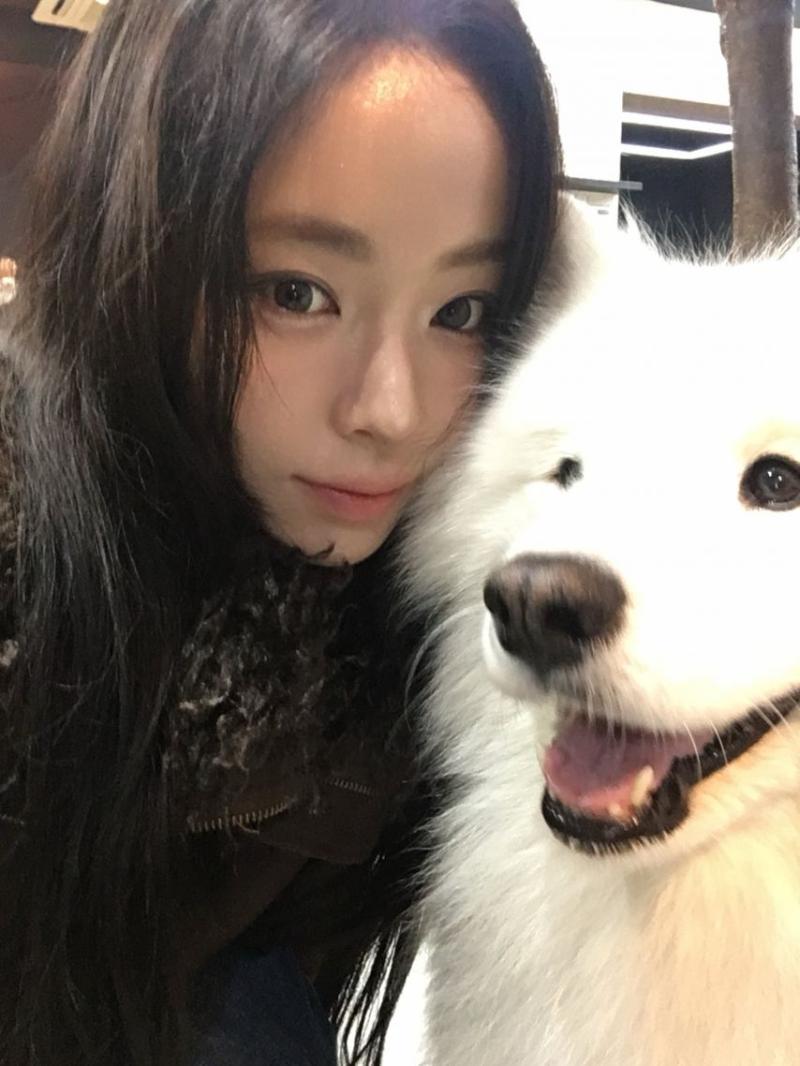 세이마이네임 슈이