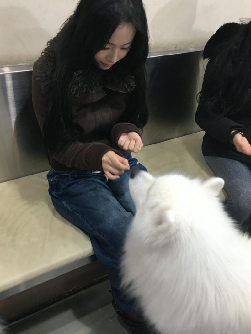 세이마이네임 슈이