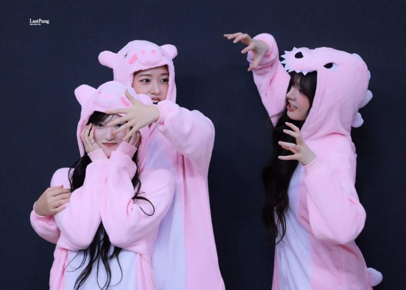 아이브 안유진,리즈,이서