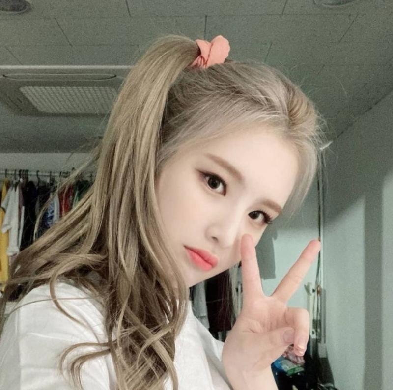 위클리 이재희
