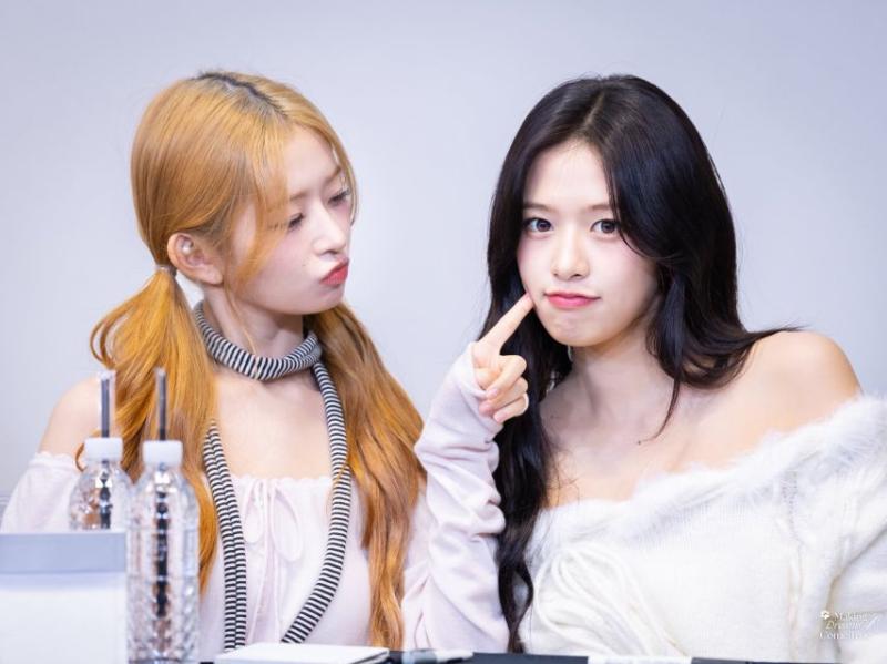 아이브 레이