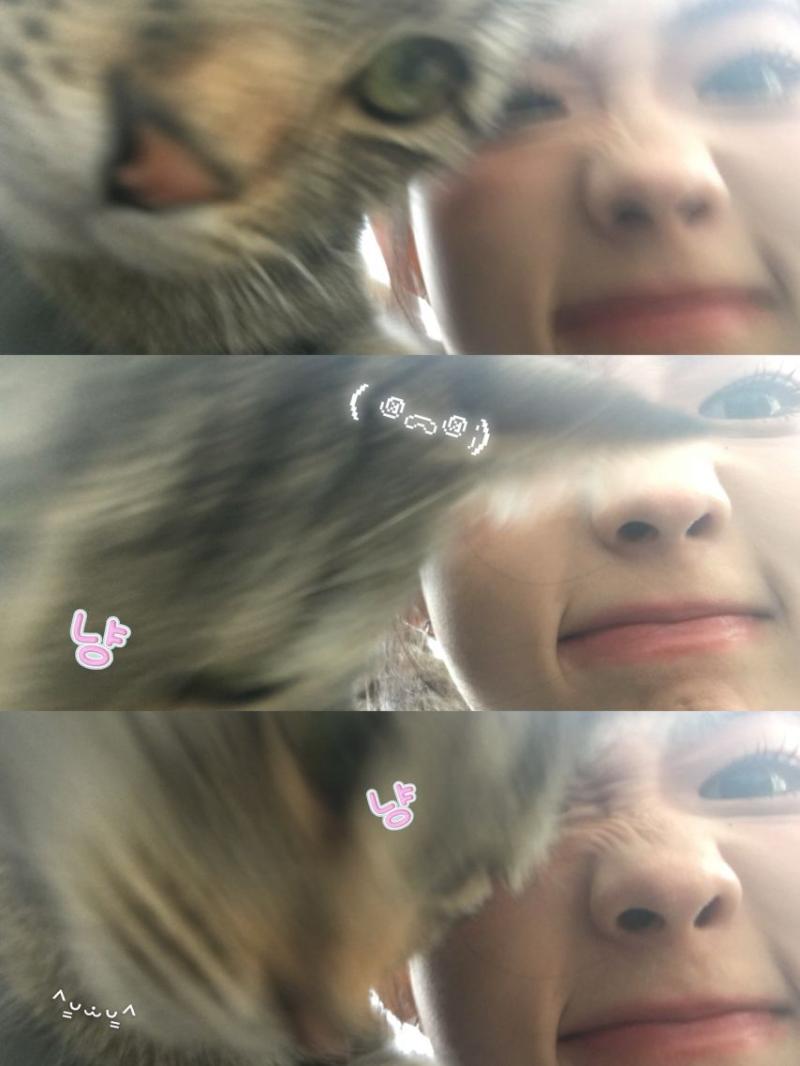 아이칠린 (ICHILLIN') 주니