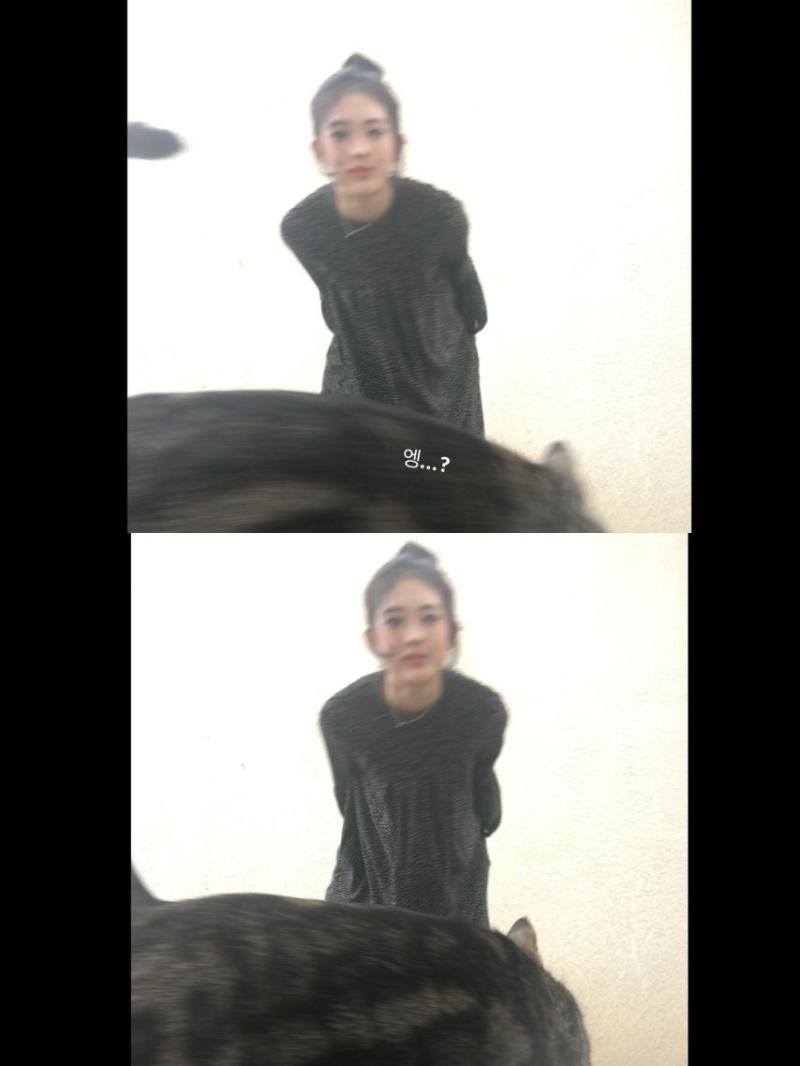 아이칠린 (ICHILLIN') 주니