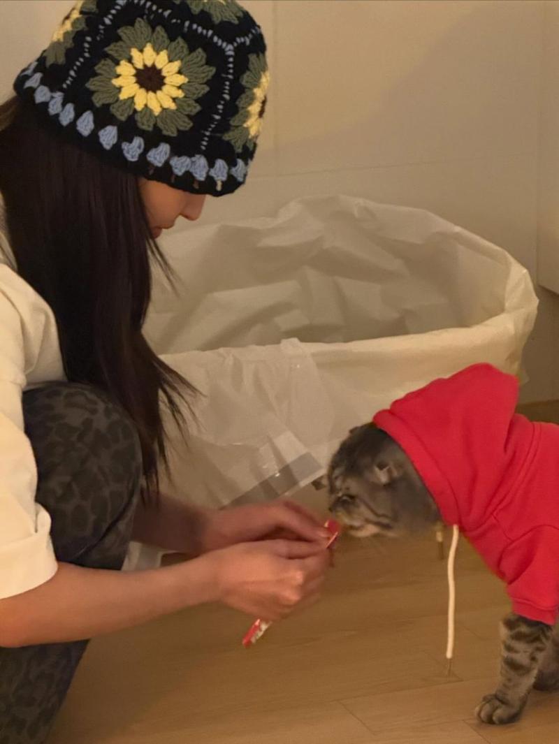최규리