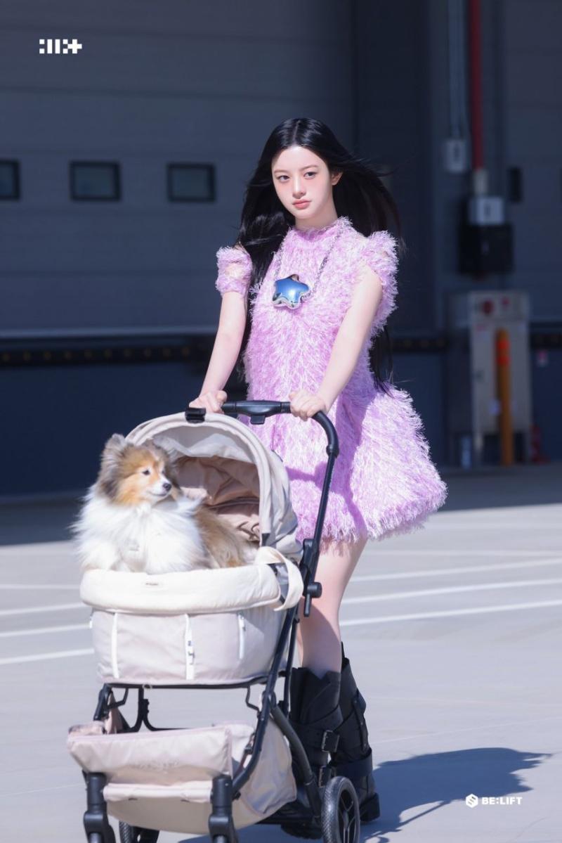 아일릿 민주