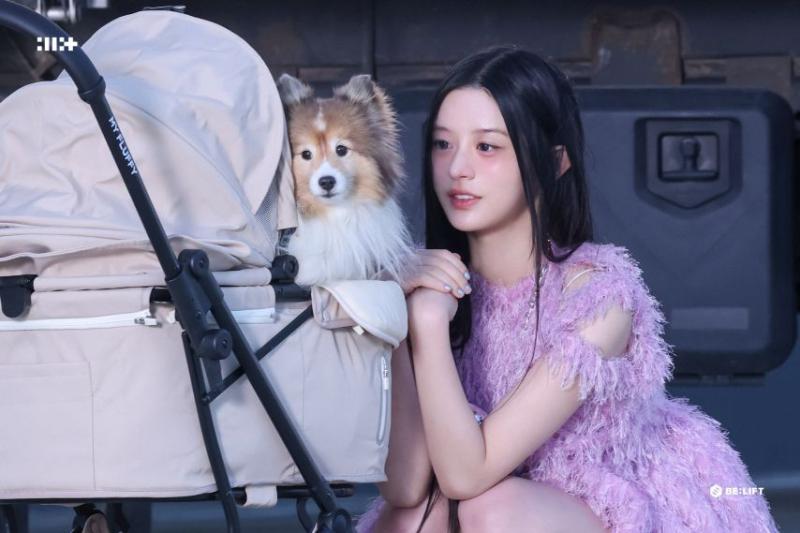 아일릿 민주