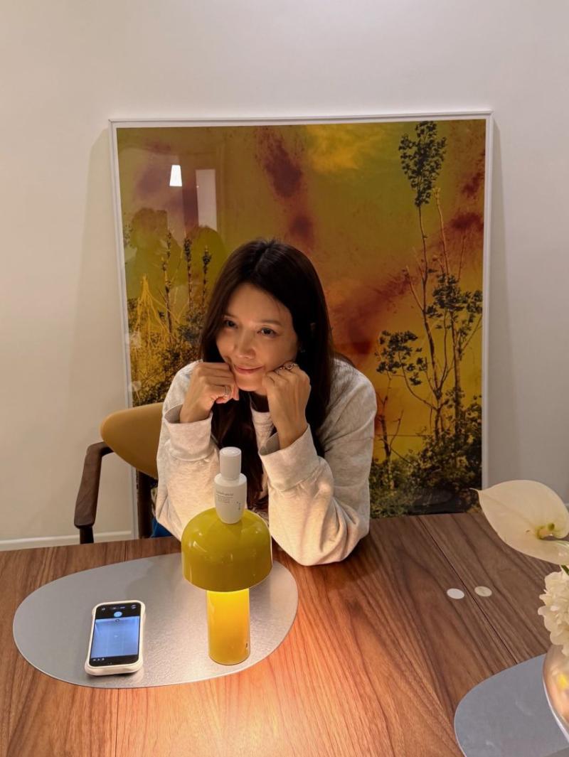 채정안 SNS