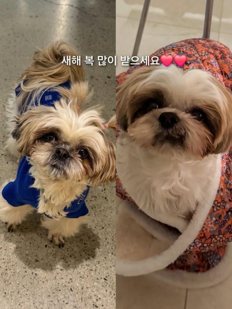 채정안 SNS