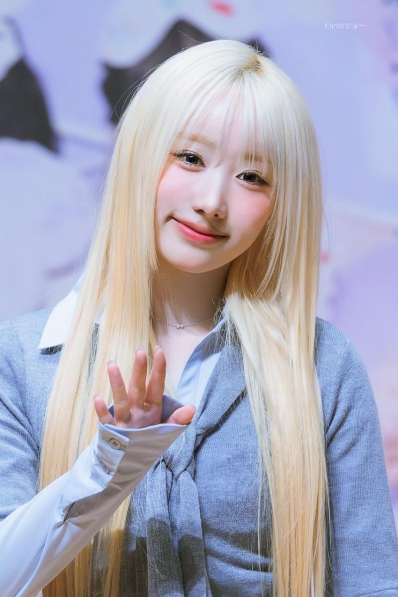 세이마이네임 메이