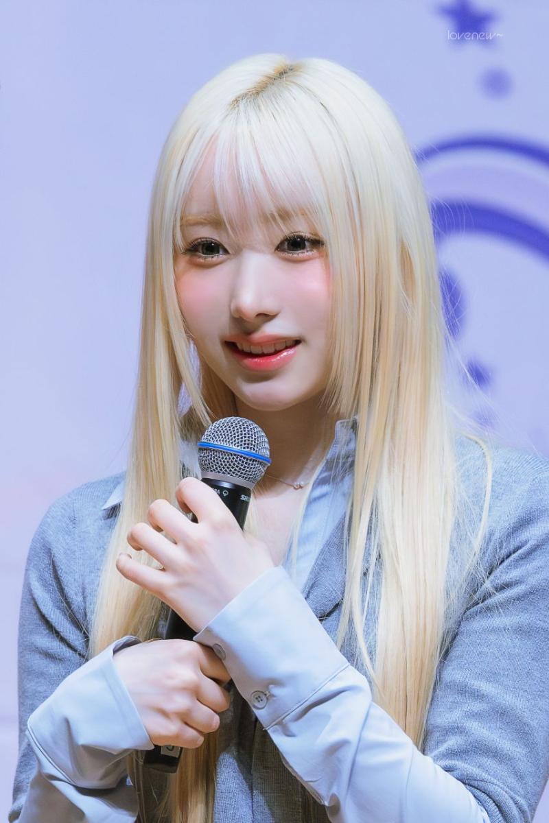 세이마이네임 메이