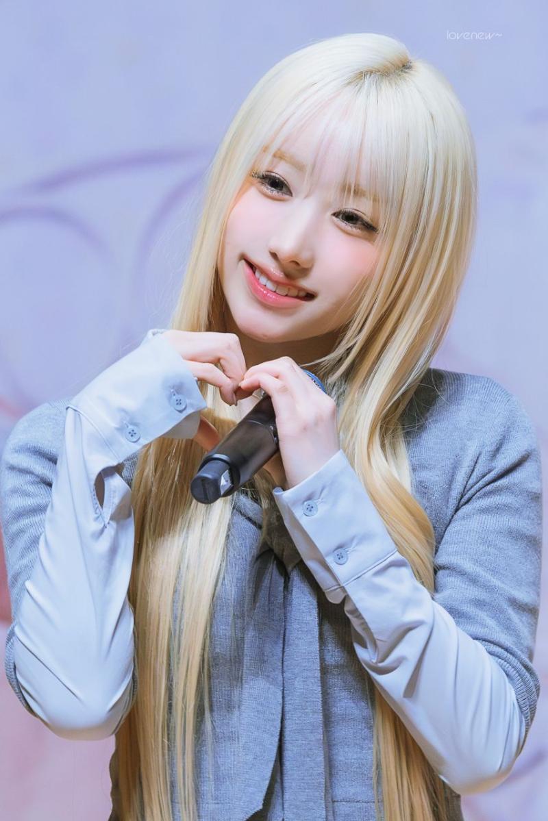세이마이네임 메이