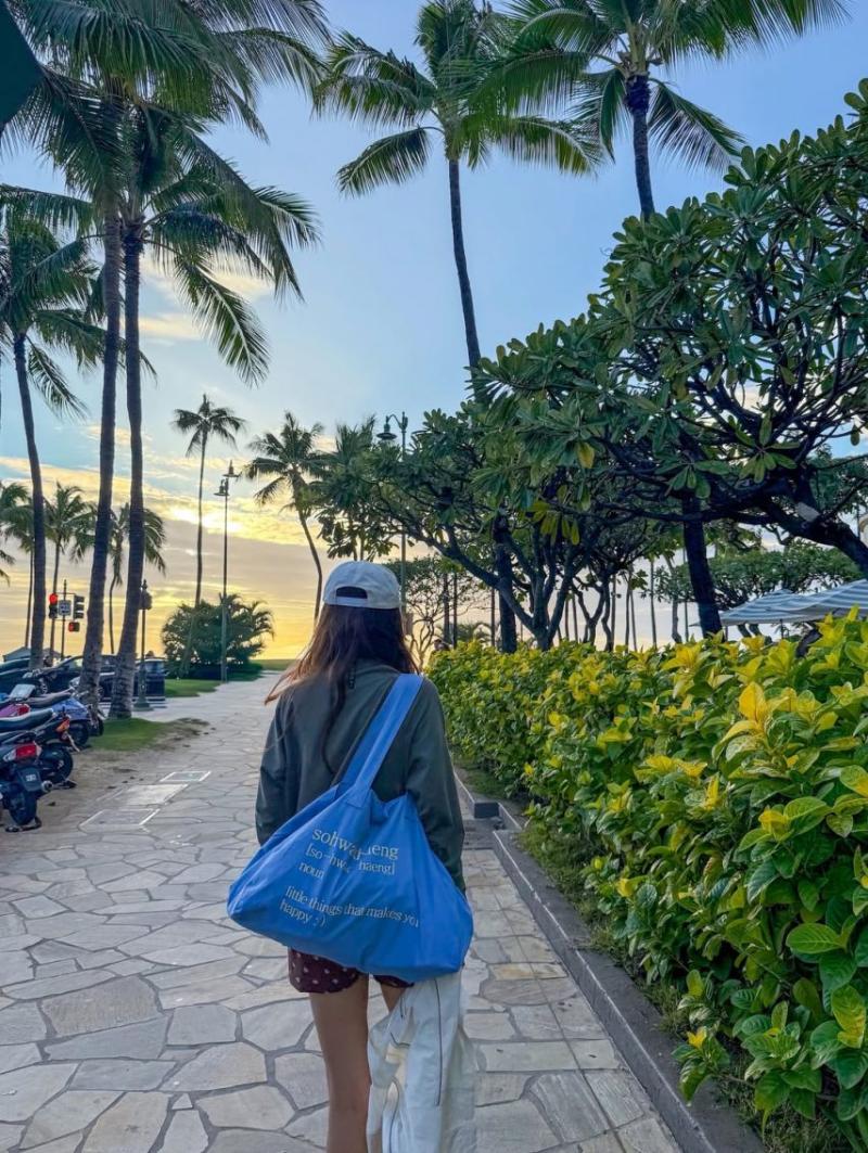 채정안 SNS