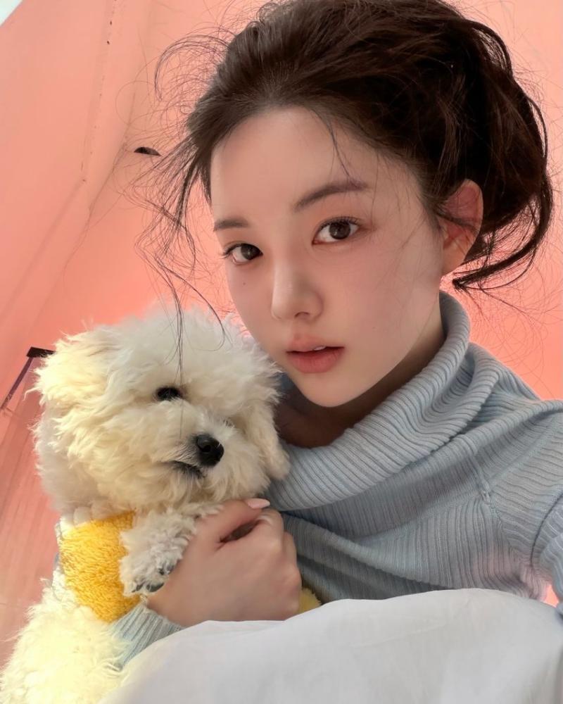 채수아