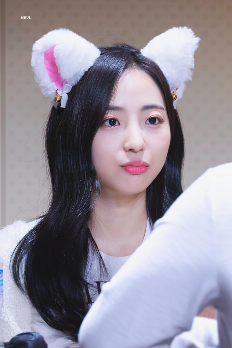 앨리스 연제