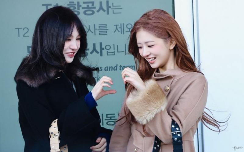아이브