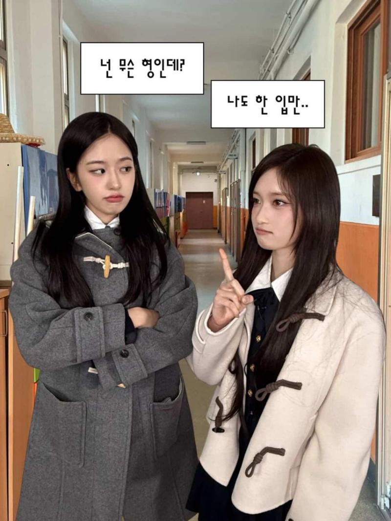 아이브