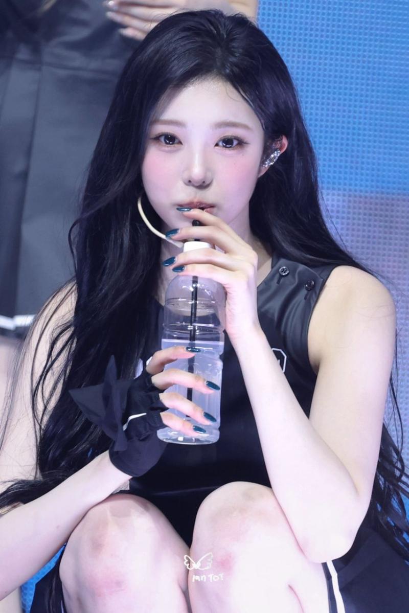 하츠투하츠 이안