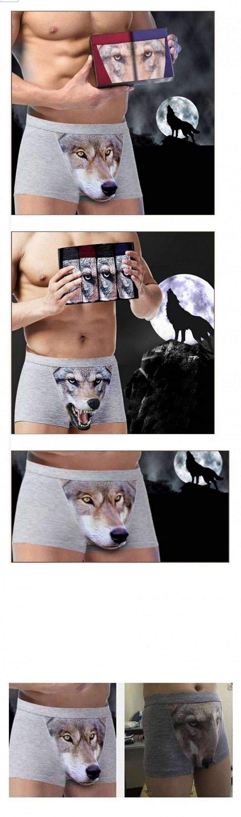 늑대팬티 후기
