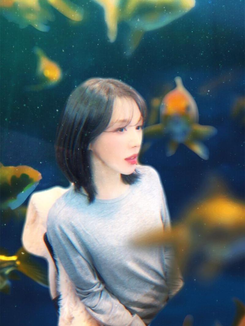 레드벨벳 웬디