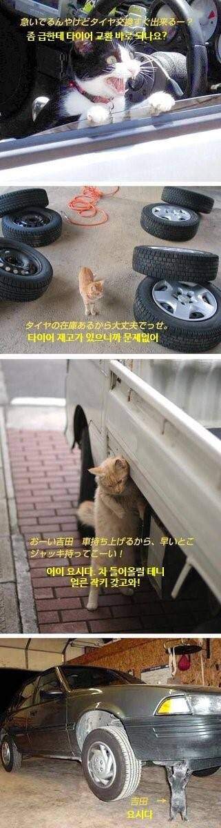 요시다 이거 좀 가져와