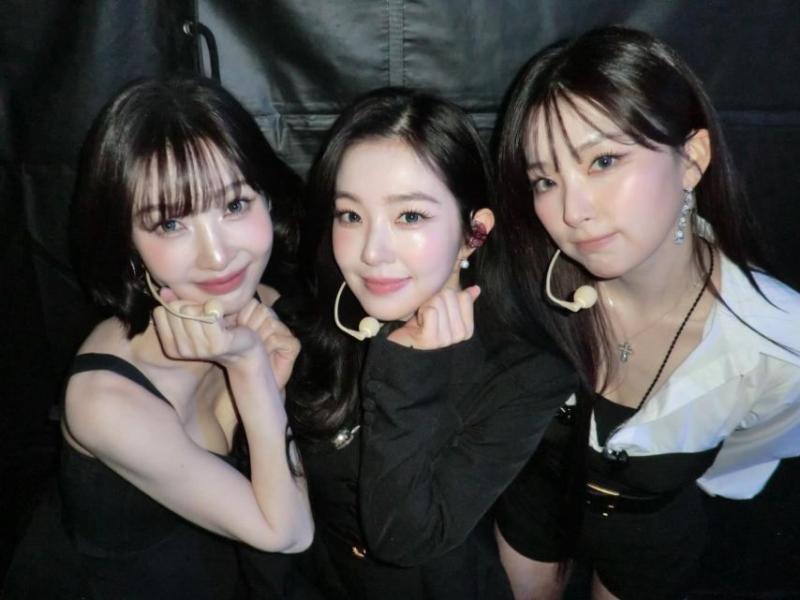 레드벨벳 조이