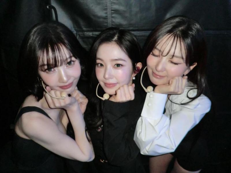 레드벨벳 조이