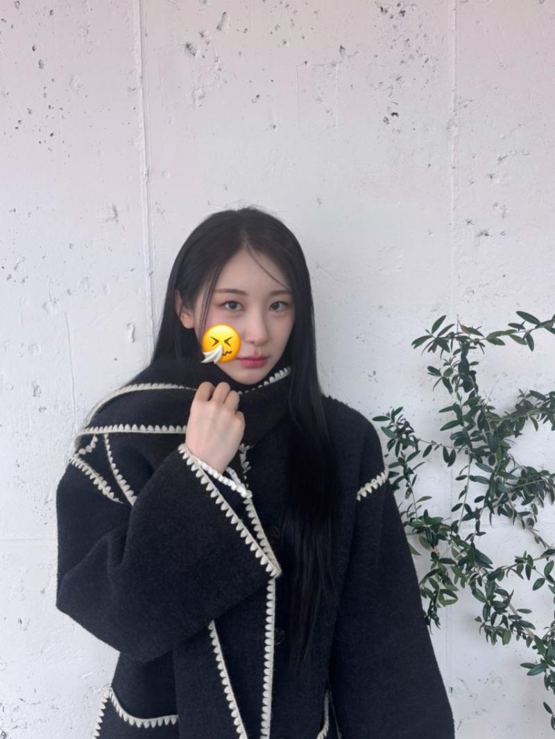 이채연
