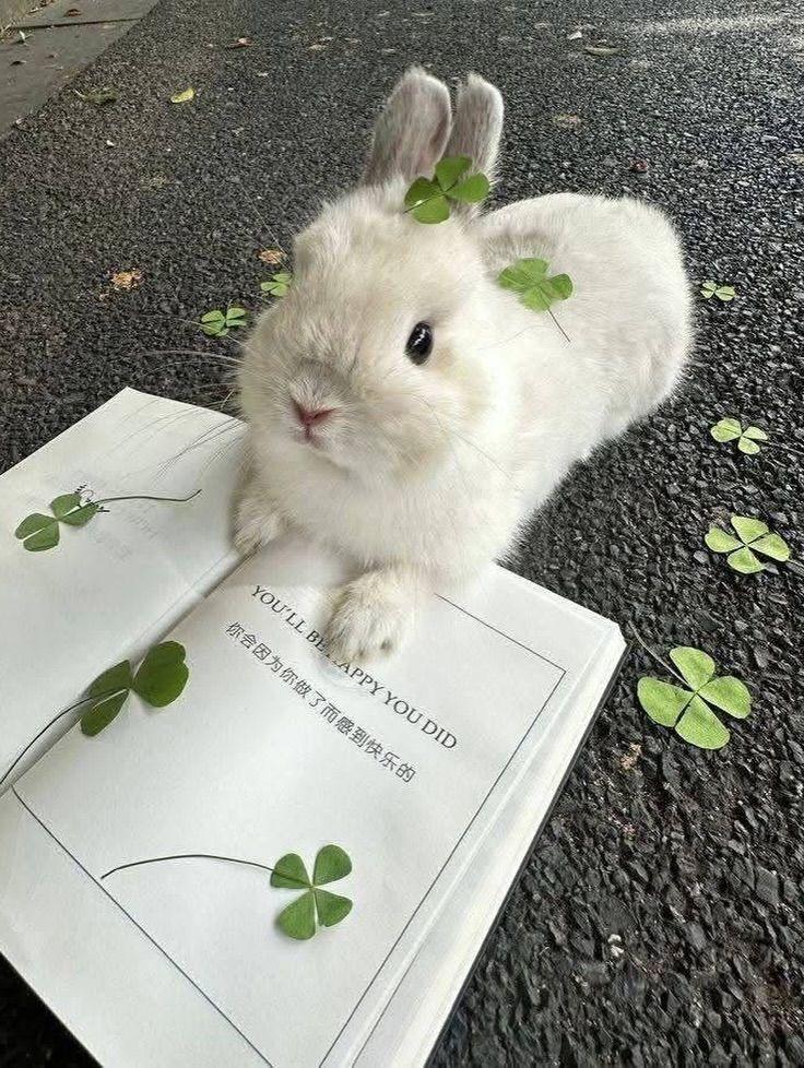 정보민 인별