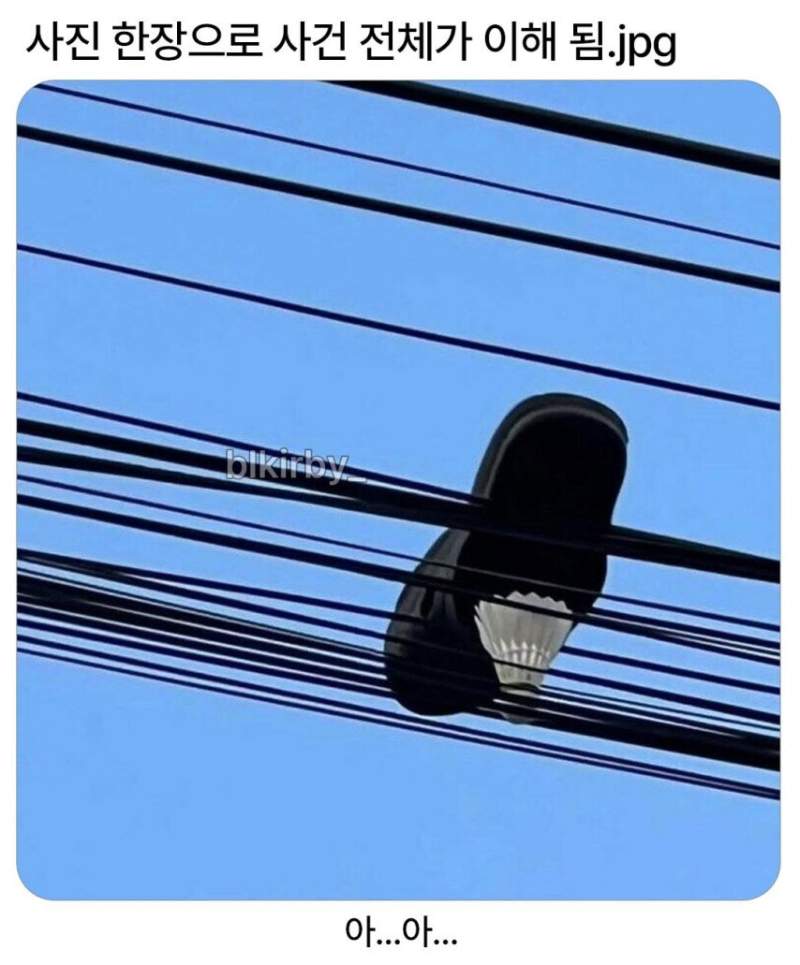 사진 한장으로 사건 전체가 이해가 됨.jpg