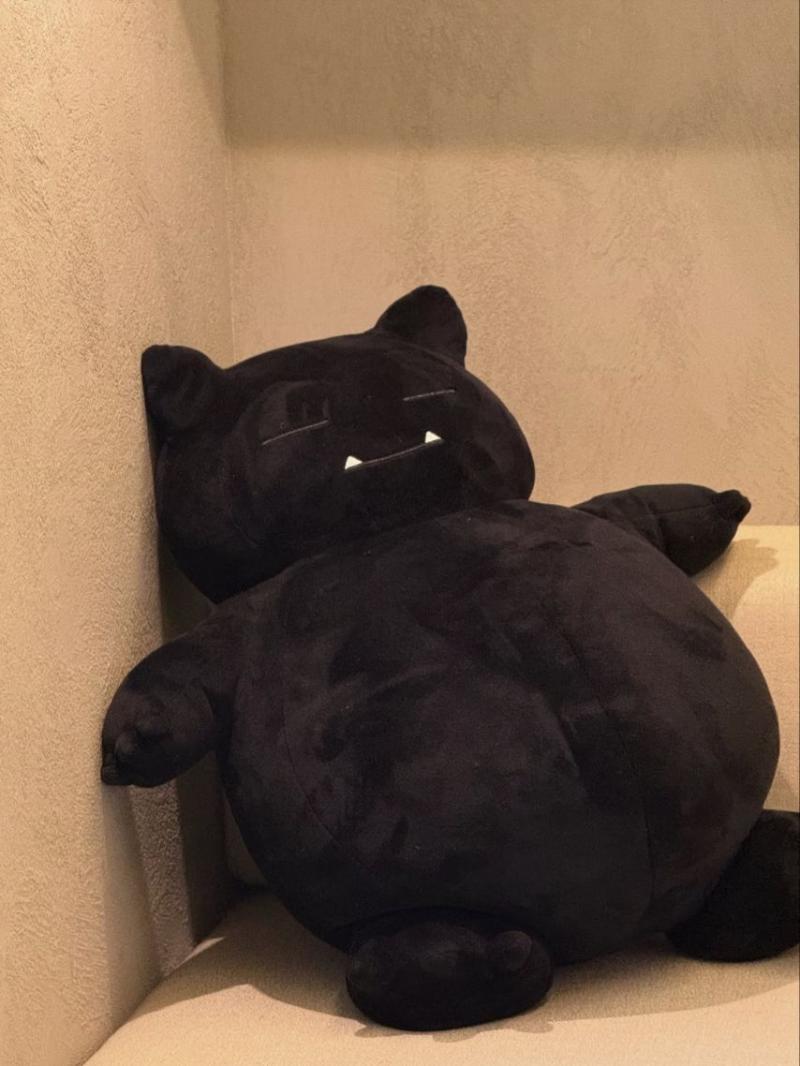 지지원