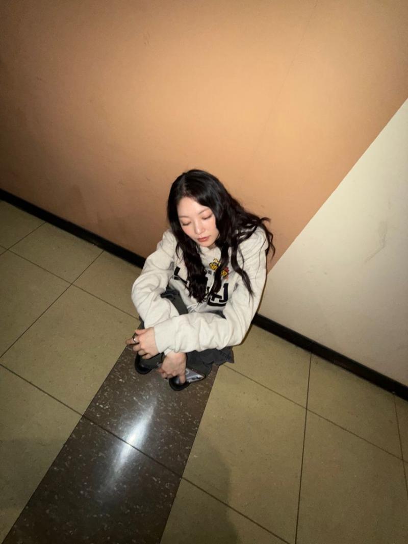 공승연